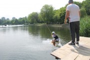 img_0142.jpg