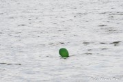 dsc_4321.jpg