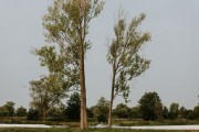 dsc_9621.jpg