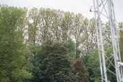mpnw25_fot_wojciechartyniew_5-70925-80.jpg
