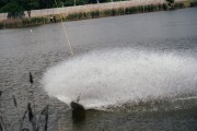 _cln3477.jpg